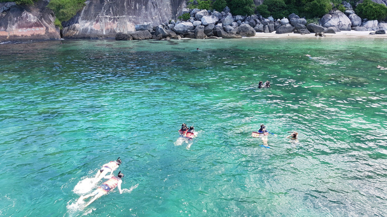 [다낭]참섬 스노클링 & 씨워킹 투어 (호텔 픽업&정통 베트남 점심 식사) (다낭 출발)